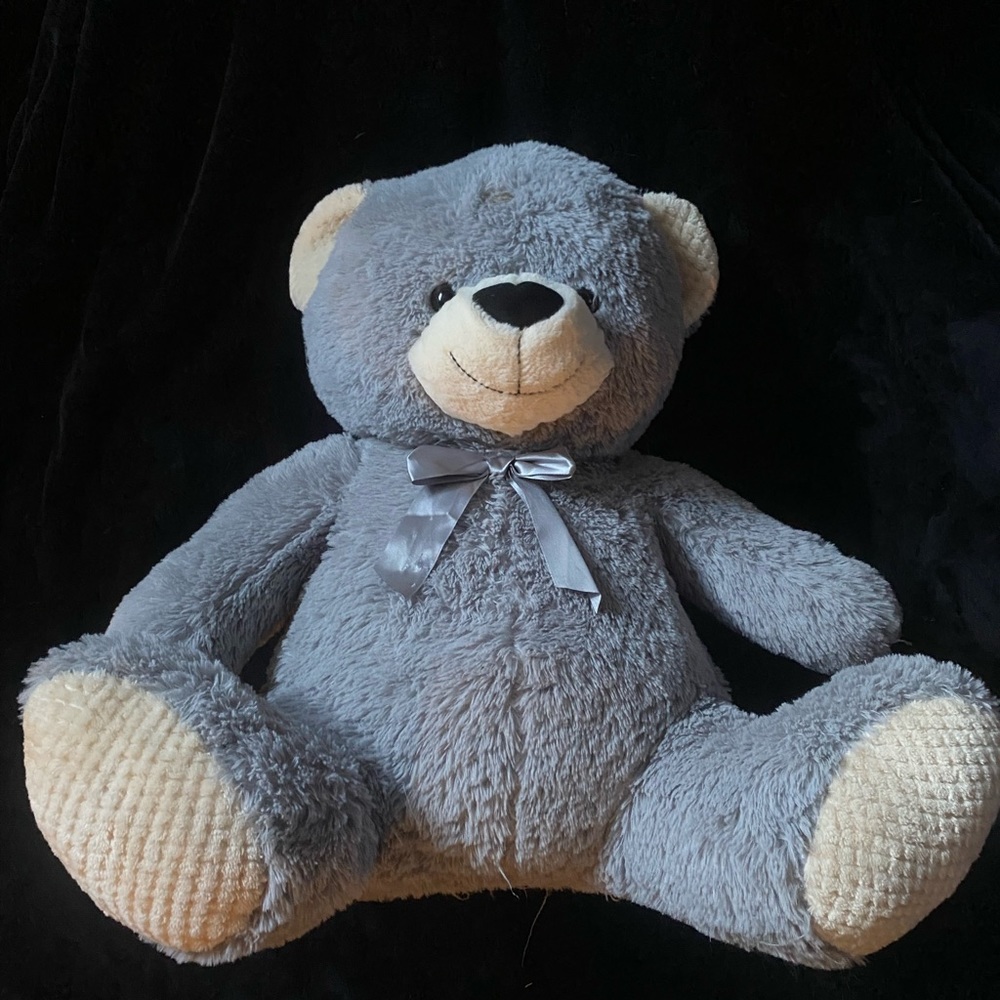 Large Gray Teddy Bear
